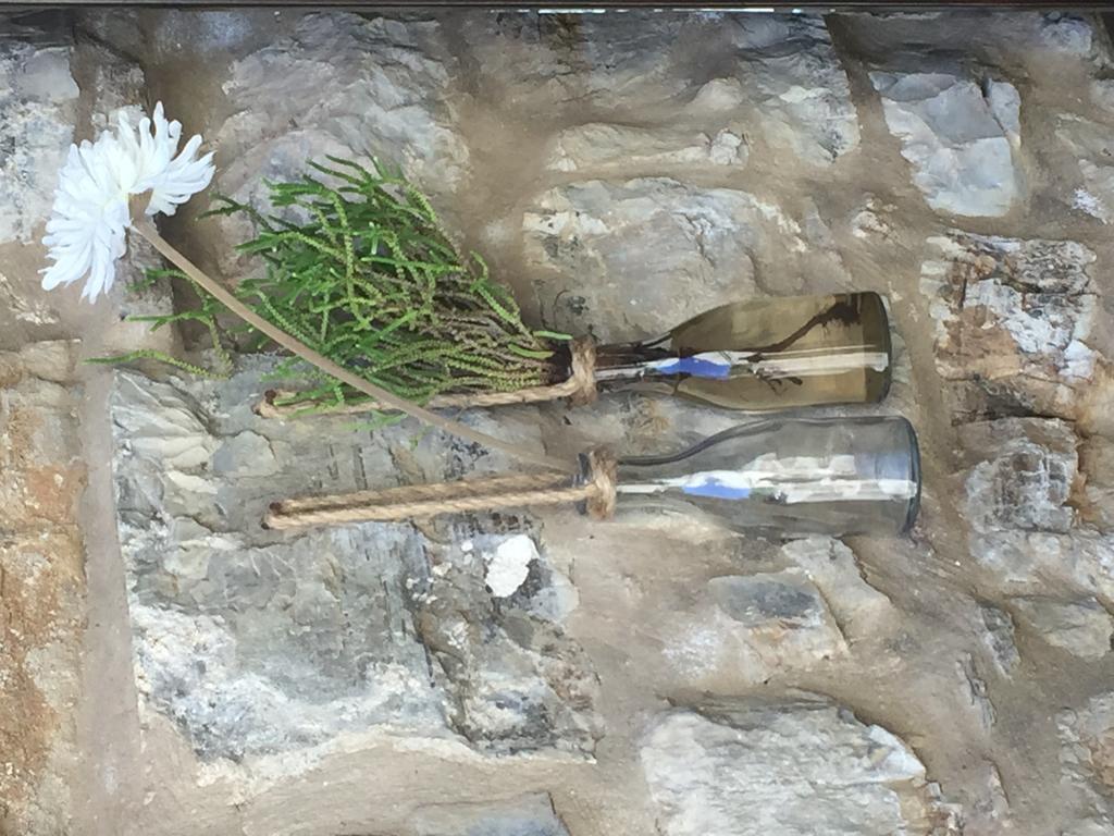 Tenuta Viggiani Vendégház Sapri Kültér fotó